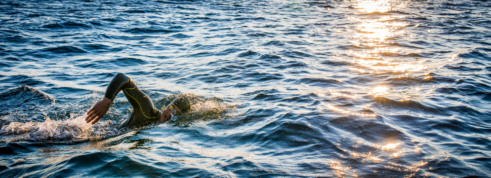 Openwaterzwemmen: ultieme vrijheid