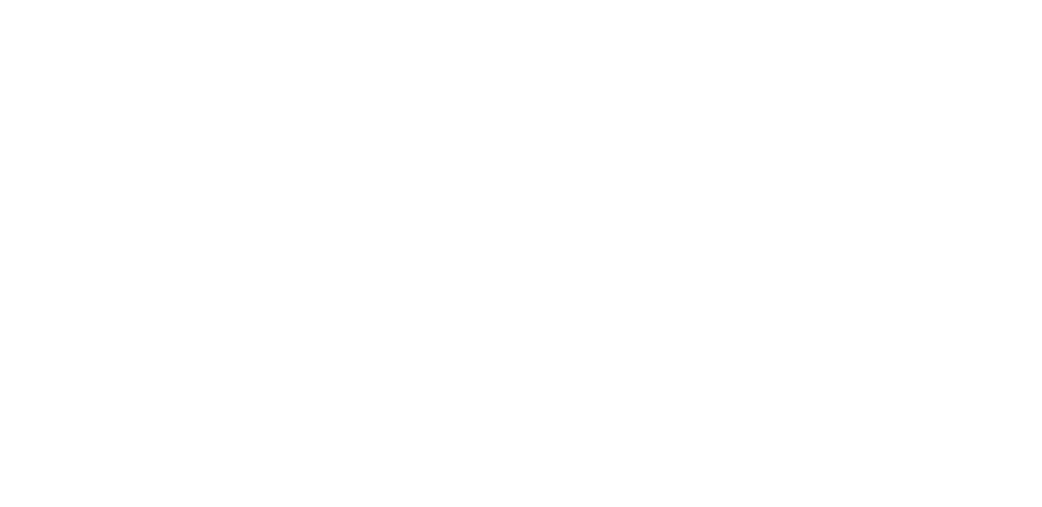 Wit logo van DotMove