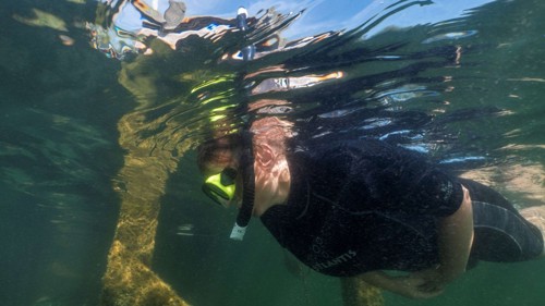 Man snorkelend onder water