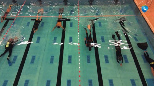 Een groep freedivers die in het zwembad zwemmen