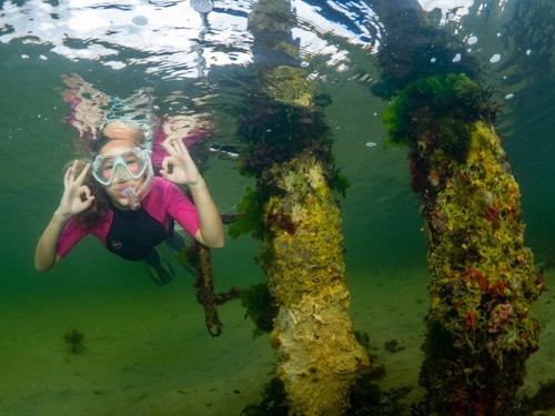 Snorkelaar in het buitenwater